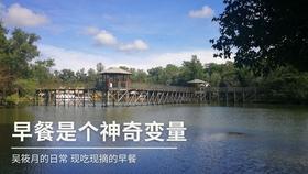 大理一公园养猫替小熊猫“顶岗”?园方澄清:正主藏树上了,猫负责抓老鼠
